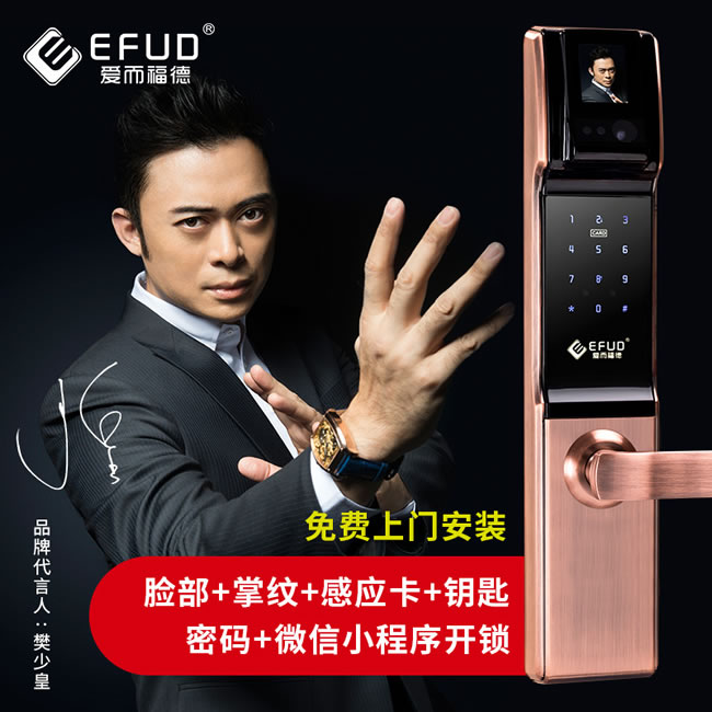 爱而福德指纹锁_爱而福德指纹锁  EFUD-8100指纹锁红古铜密码智能电子锁